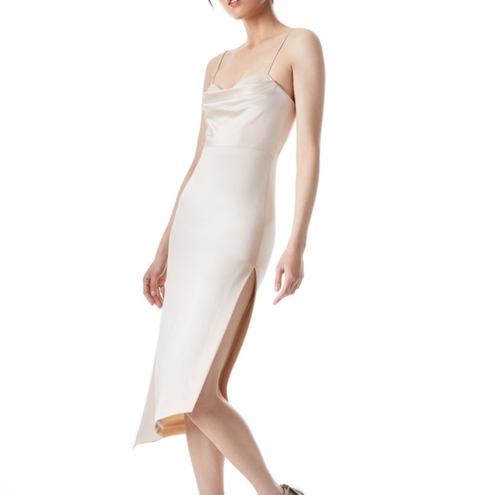 Alice + Olivia Kiyoko Dress - Picture 5 of 12